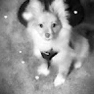 Meet your Posher, Mina